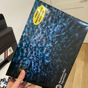 Northern Anchorovies Jigsaw Puzzle - Blue School of Fish